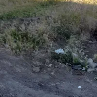 زمین کشاورزی دیم