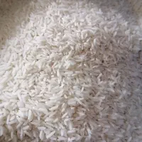 برنج طارم هاشمی درجه یک و فجر محلی و سر لاشه طارم
