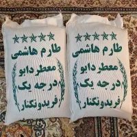 برنج طارم هاشمی کشت یک
