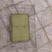 قفس پرنده وجوجه