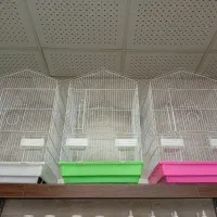 قفس نو رنگی درجه یک