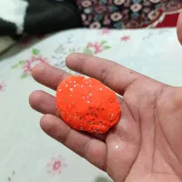 طعمه قزل