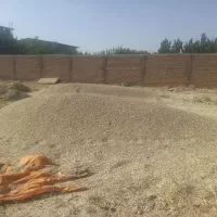 کاه کنگر اعلا و پردانه
