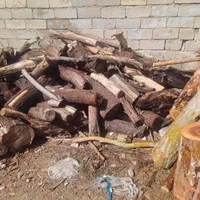 قطع نخل و درخت با خرید چوب درخت|خدمات باغبانی و درختکاری|بوشهر, |دیوار