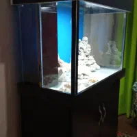 آکواریوم سامپ دار آبشور|ماهی|رباط‌کریم, شهرک والفجر|دیوار