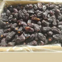 خریدخرمادو|خدمات باغبانی و درختکاری|نرماشیر, |دیوار