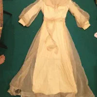 لباس مجلسی نباتی