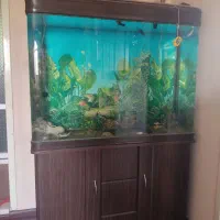 آکواریوم شیشه خم شرکتی