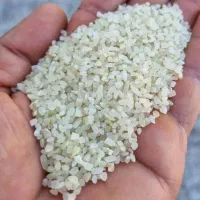 برنج کامفیروزی درجه یک به شرط پخت و تازه|خوردنی و آشامیدنی|شیراز, کوشک میدان|دیوار