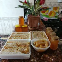 عسل درجه یک گون