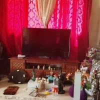 تلویزیون
