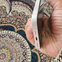 آیفون ۱۳ نرمال|موبایل|آشخانه, |دیوار