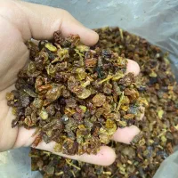 کشمش بیدانه آفتابی تاکستان