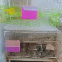 قفس مرغ و خروس|لوازم جانبی حیوانات|شیراز, شهرک مهرگان|دیوار