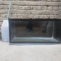 اکواریوم