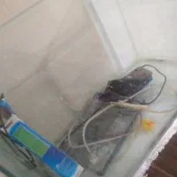 آکواریوم|ماهی|مبارکه, |دیوار