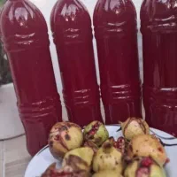 اب انار رب انار آبغوره آب لیمو