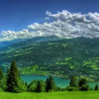تعدادی وانت  پیکان ،اریسان، نیسان، نیازمندیم