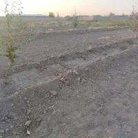 زمین کشاورزی به متراژ۱۲۶۰مترباپروانه کشاورزی|فروش زمین و ملک کلنگی|عجب شیر, |دیوار