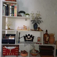 کتابخانه ‌نو‌‌جنس‌ترک