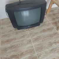 تلویزیون ۲۱ سامسونگ قیمت ۱۰۰۰۰۰۰|تلویزیون و پروژکتور|کرج, شهرک صدف|دیوار