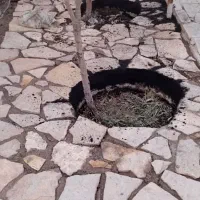 بندکشی|خدمات پیشه و مهارت|گلبهار, شهر جدید گلبهار|دیوار