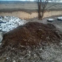 یک ماشین پیین