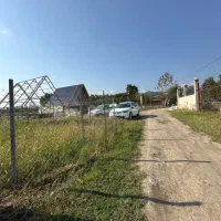 فروش یک هکتار باغ کیوی دارای 500مترمسکونی/تالش|فروش زمین و ملک کلنگی|لیسار, |دیوار