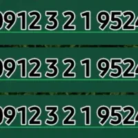 912 321