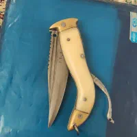چاغو هشت دندی