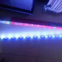 LED آکواریوم|ماهی|شیراز, میانرود|دیوار