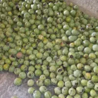 خریدار گردو هستم
