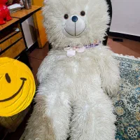 تعدادی عروسک
