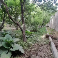 400 متر باغچه در شهریار مجزا ۴دیواری قدیمی|فروش زمین و ملک کلنگی|شهریار, شهرک شاهد|دیوار