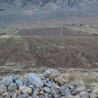 زمین صنعتی سند دار