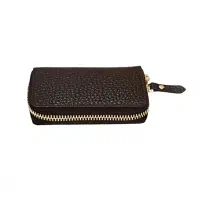 جا کارتی گمشده