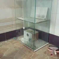 قفس پرنده|لوازم جانبی حیوانات|اهر, |دیوار