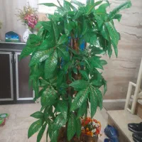 یک عدد درختچه مصنوعی زیبا