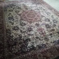 فروش فرش|فرش|اندیمشک, |دیوار