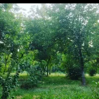 1000-متری-با-کوچه-باغ-اختصاصی-دهبوره-راه