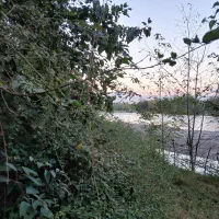 یک-قطعه-زمین-شالیزار