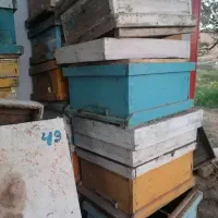 ابزار زنبورداری فروشی|لوازم جانبی حیوانات|قم, باسکول|دیوار