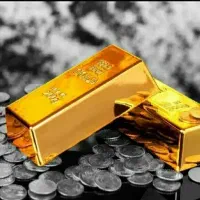 فرصت استثنایی شرکت بین المللی / خانم آقا
