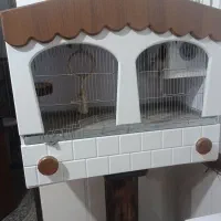 قفس پرنده نو