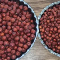 عناب درشت و ریز امسالی