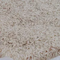 برنج هاشمی درجه یک