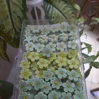 قندونبات|خوردنی و آشامیدنی|بندر گناوه, |دیوار