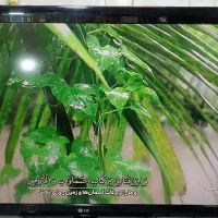 الجی 47این صحیح سالم به شرط|تلویزیون و پروژکتور|نسیمشهر, |دیوار