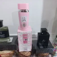 عطر ادکلن|آرایشی، بهداشتی، درمانی|بندر دیر, |دیوار