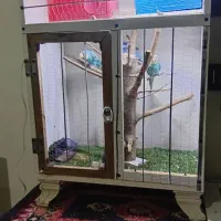 .  قفس چوبی خوشگل تمیز شیک|لوازم جانبی حیوانات|مشهد, شهید بصیر|دیوار